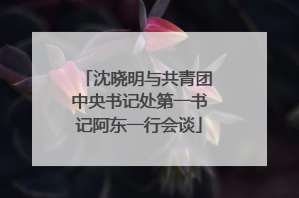 沈晓明与共青团中央书记处第一书记阿东一行会谈